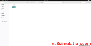 Copy the dummy-network.cc file to scratch folder
