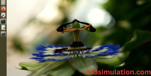 Fresh installation of Ubuntu 16.04 LTS